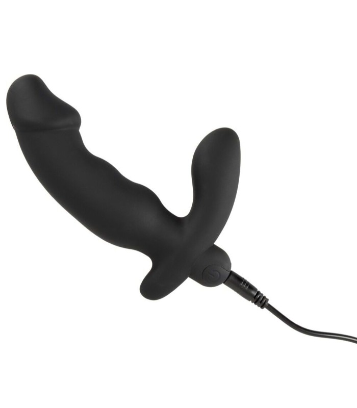 Plug Anal Vibrant Cock Shape Anos